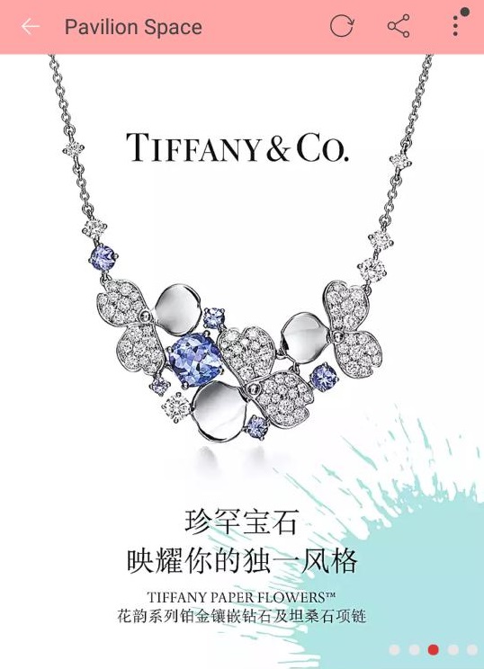 花韻系列是由Tiffany & Co首席藝術官Reed Krakoff上任後首次主導的珠寶系列。這次花韻系列8個款式通過天貓平台，首次於中國推出，面向中國高端的消費者。